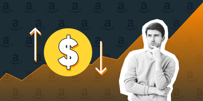 Get The Hang Of Amazon Pricing Strategy And Succeed In This Dynamic