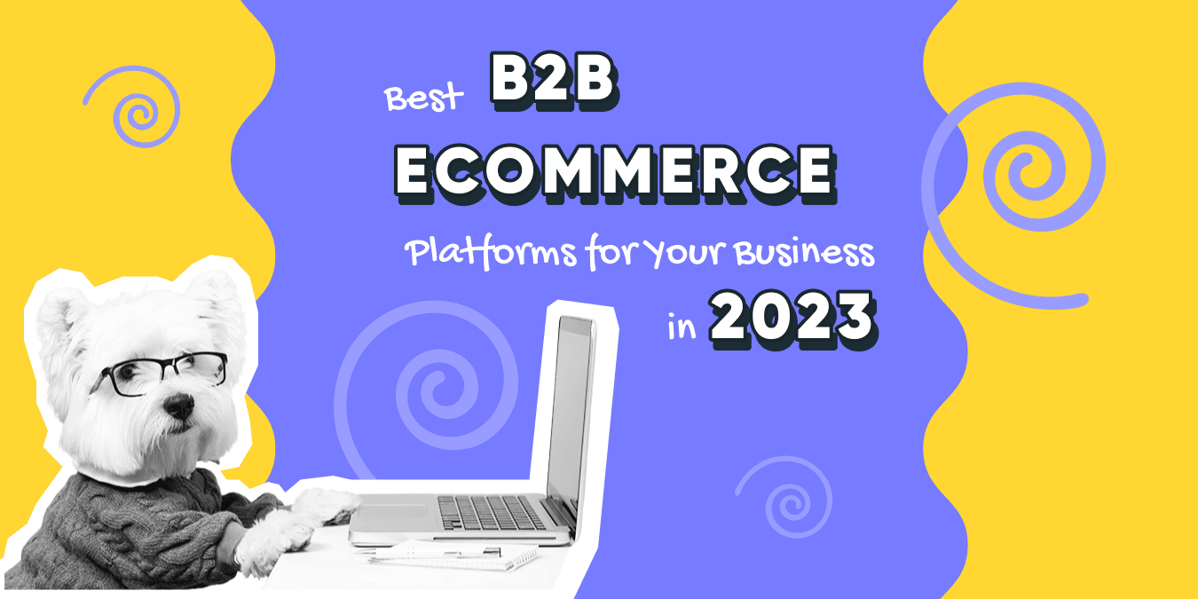 Best B2B eCommerce Platforms for Your Business in 2023 Photo 1