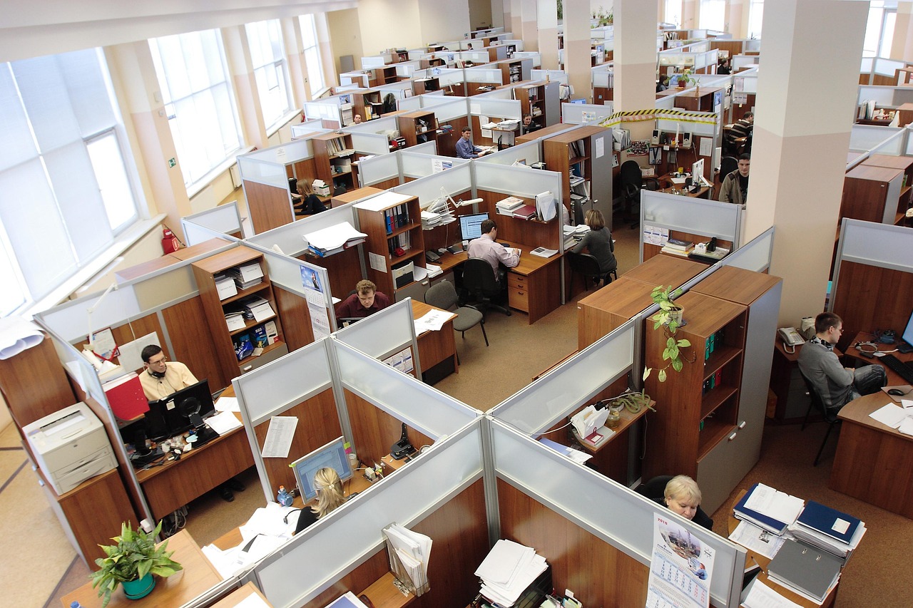 office-cubicles-employees-working