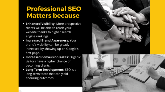 professional-seo-2-700x394.png