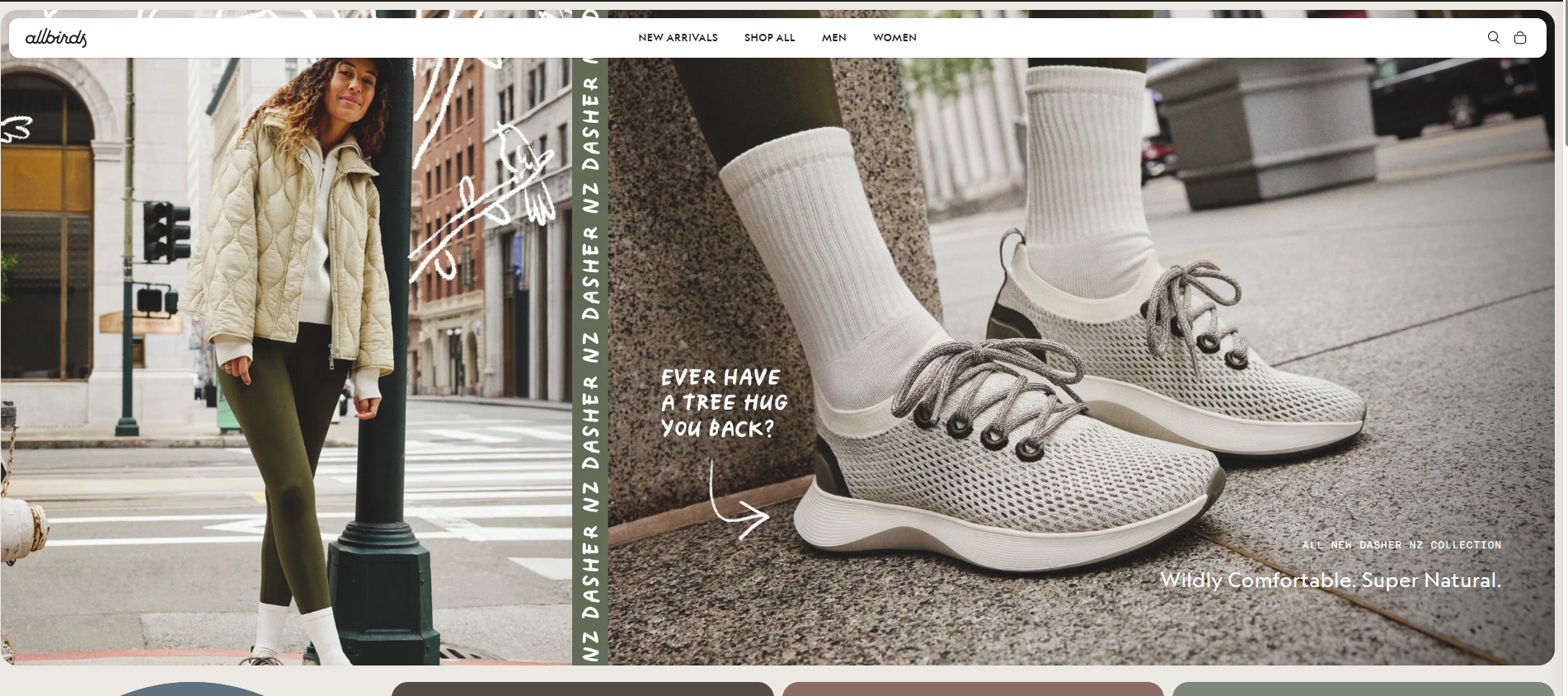 AllBirds