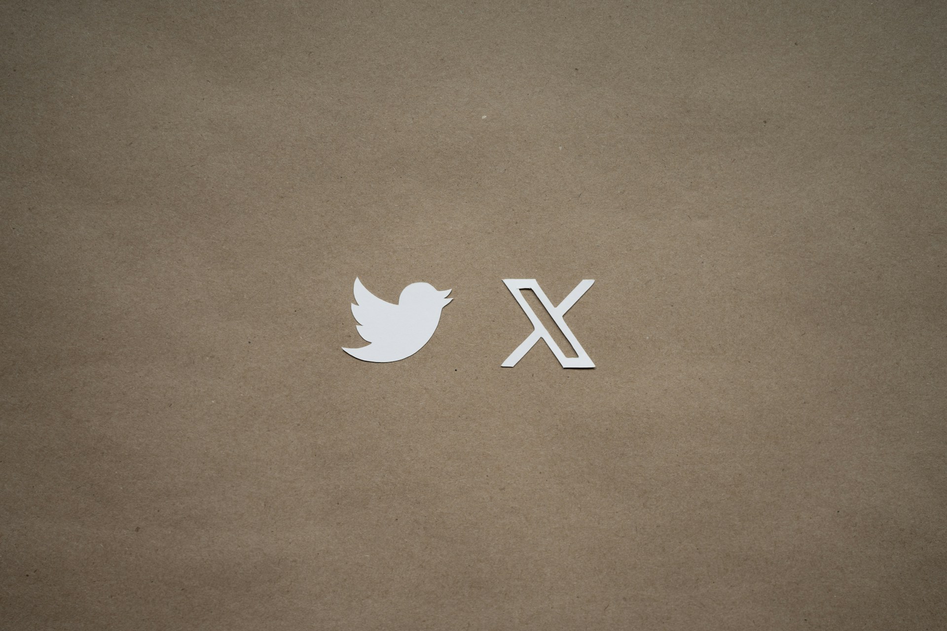 a-close-up-of-a-piece-of-paper-with-a-twitter-logo-on-it