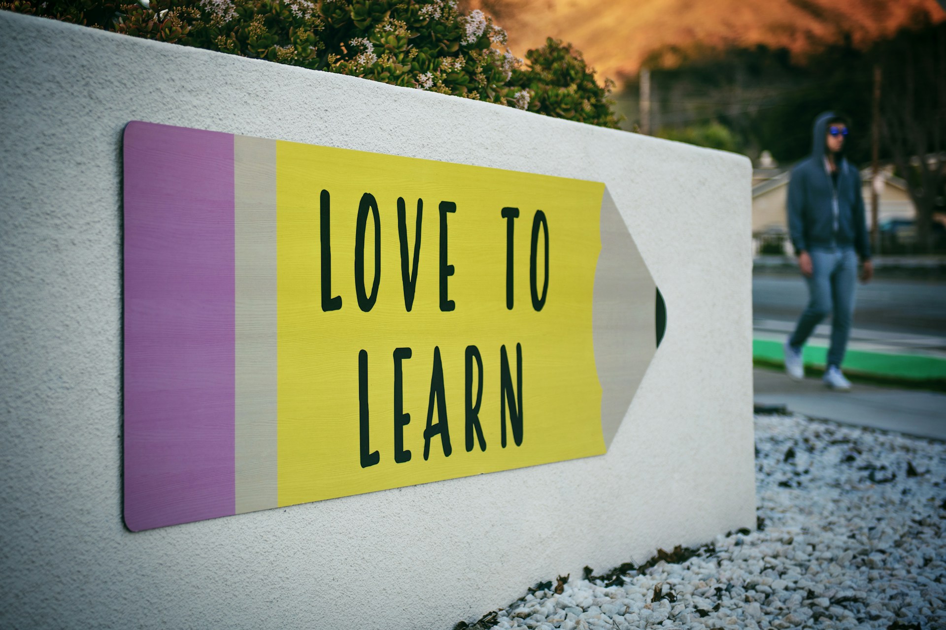 Lifelong Learning and Innovation